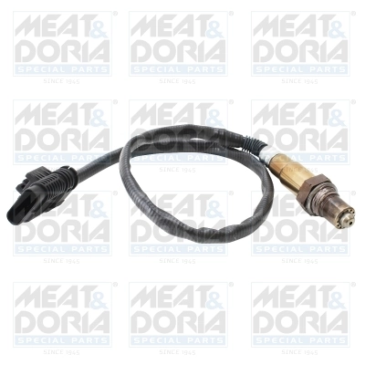 Oxygen Sensor